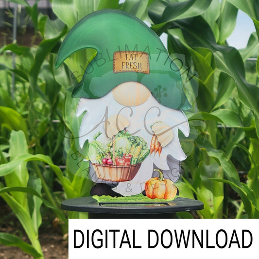 Veggie Garden Gnome Sublimation Design, Hand drawn Gnome Sublimation garden stake design, digital download, JPG, PNG